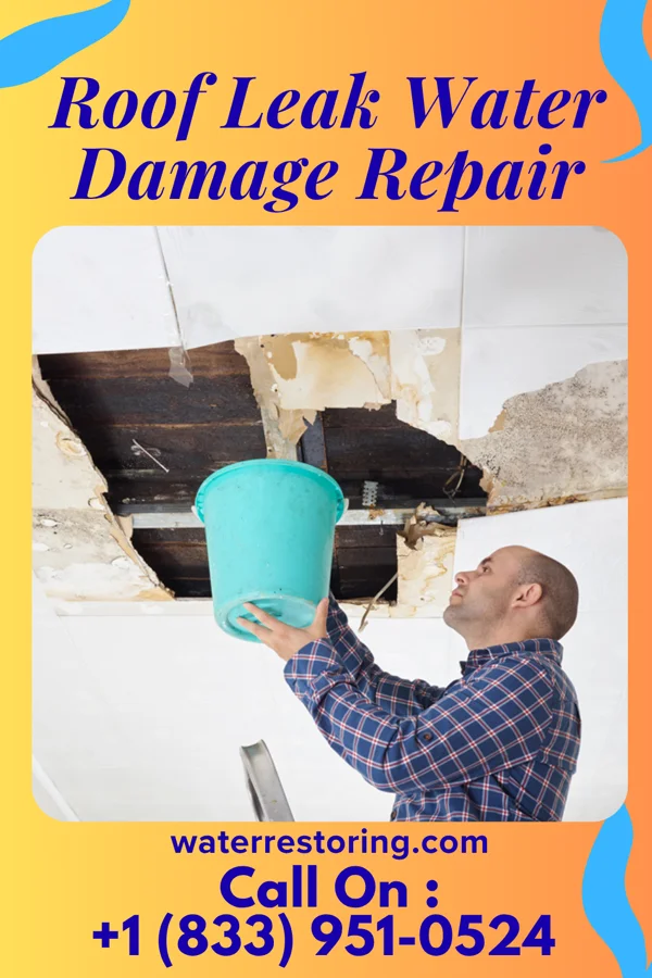 Roof Leak Water Damage Repair in Assaria, KS